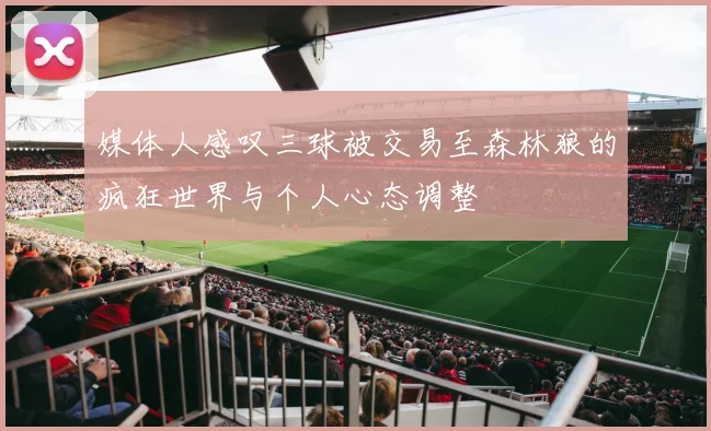 媒体人感叹三球被交易至森林狼的疯狂世界与个人心态调整